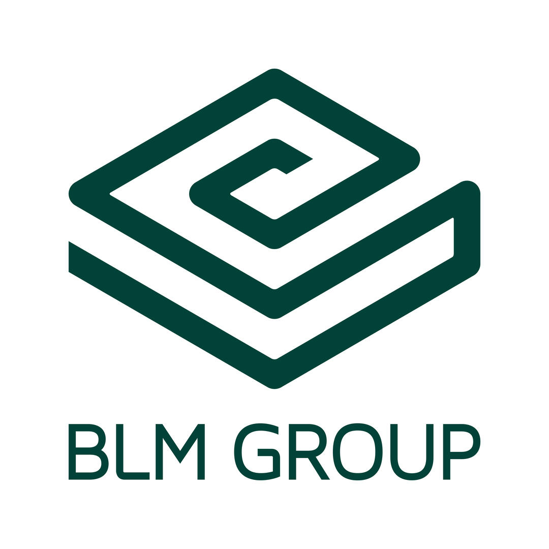 Buy & Sell Used BLM GROUP Machinery