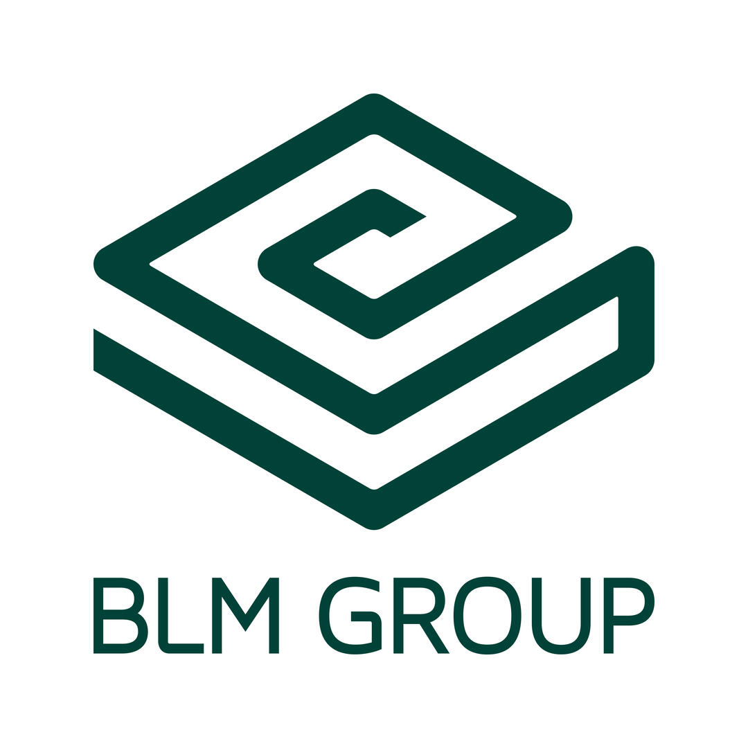 Compra y Venta de Maquinaria BLM GROUP Usada